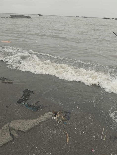 fish oil in tagalog|A month into Bataan oil spill, Marcos says Cavite .